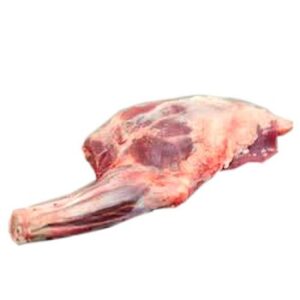 Lamb