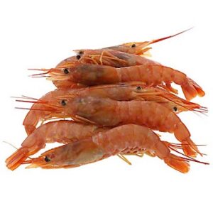 Red and HOSO Shrimps