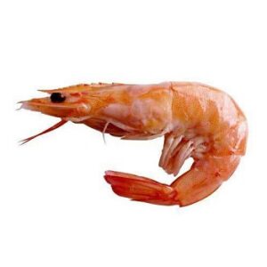 Sea Foods