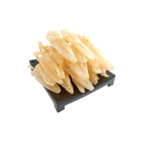 Fish Maw