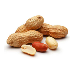 Peanut