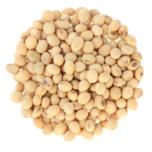 soy nut