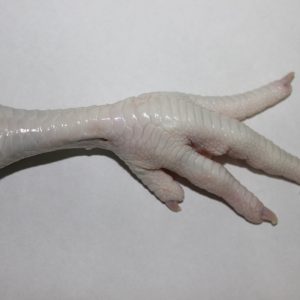Chicken Feet grade A