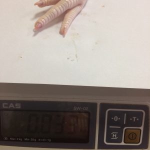 Chicken Paw grade A