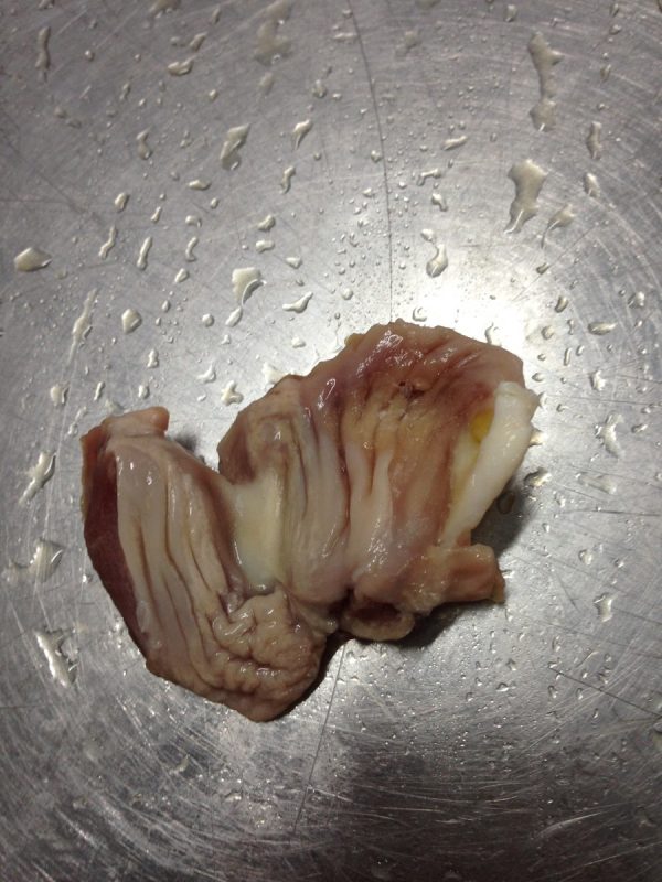 Chicken Gizzard