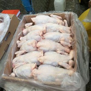 Laying hens