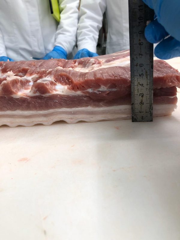 Belly, single ribbed, rind-on - Image 2