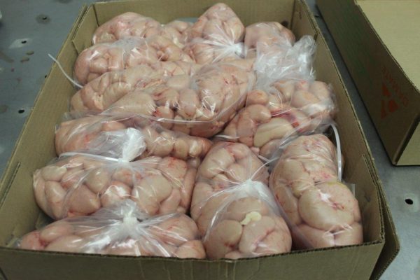 Turkey Testicles - Image 2