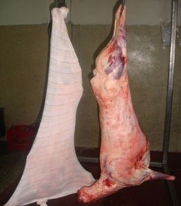 Frozen lamb whole carcass