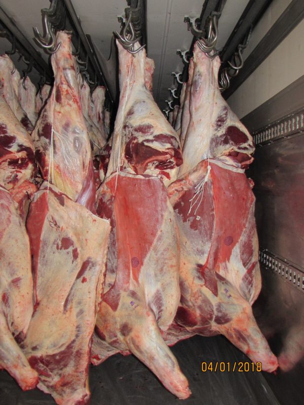 Carcass