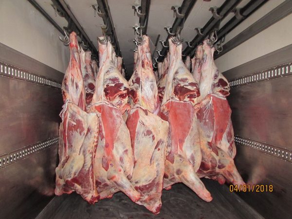 Carcass - Image 6