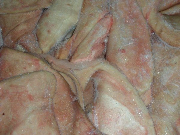 Pork ear - Image 5