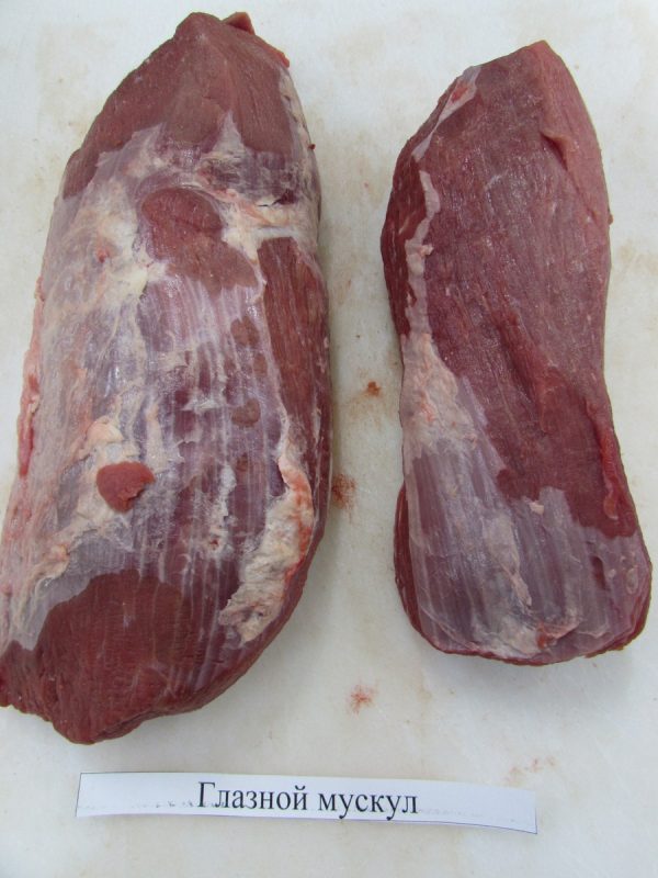 Round cuts - Image 8