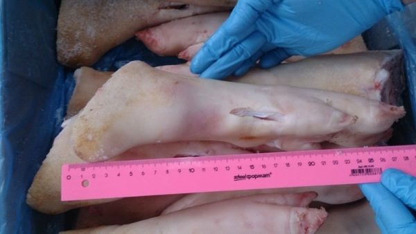 Pork hind feet - Image 3