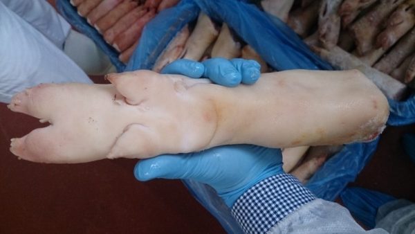 Pork hind leg - Image 6