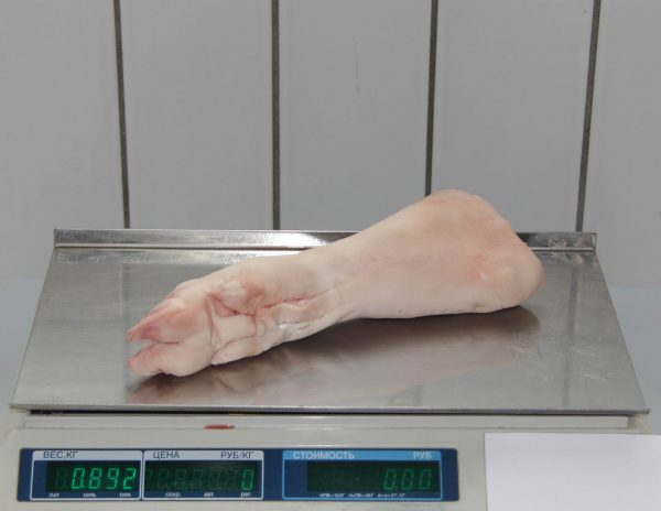 Pork hind feet