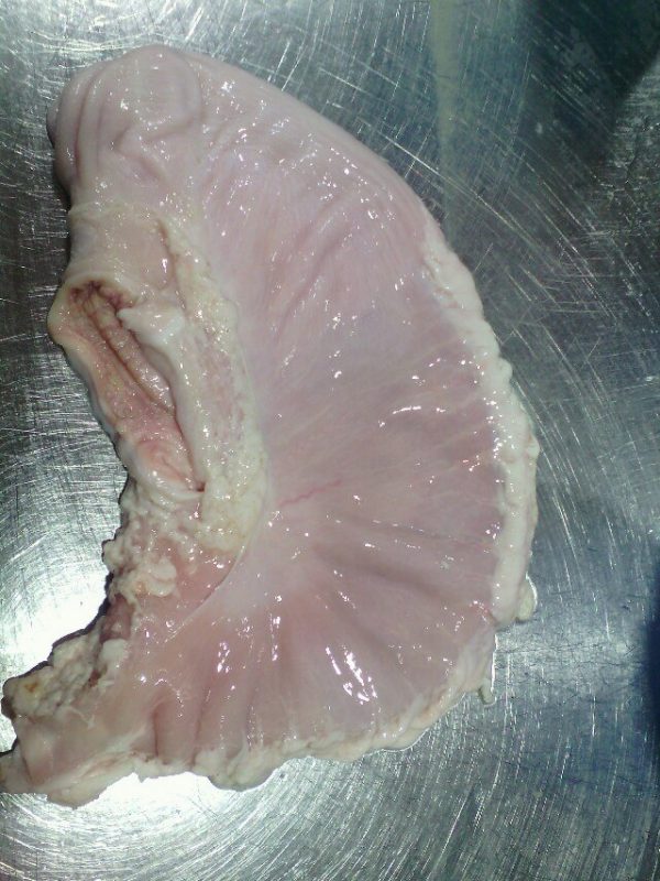 Pork stomach