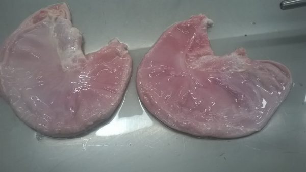 Pork stomach - Image 8