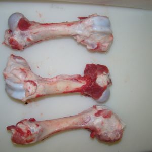 Bones