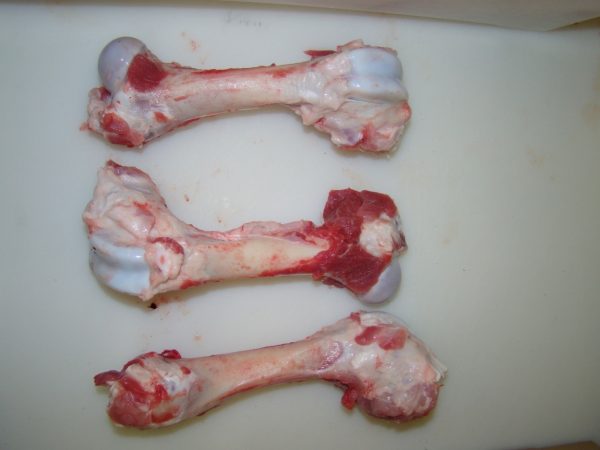 Bones
