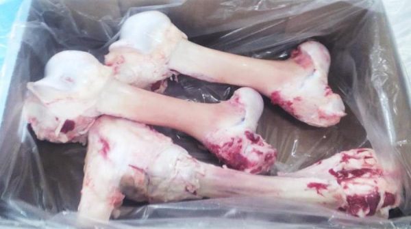 Bones - Image 5